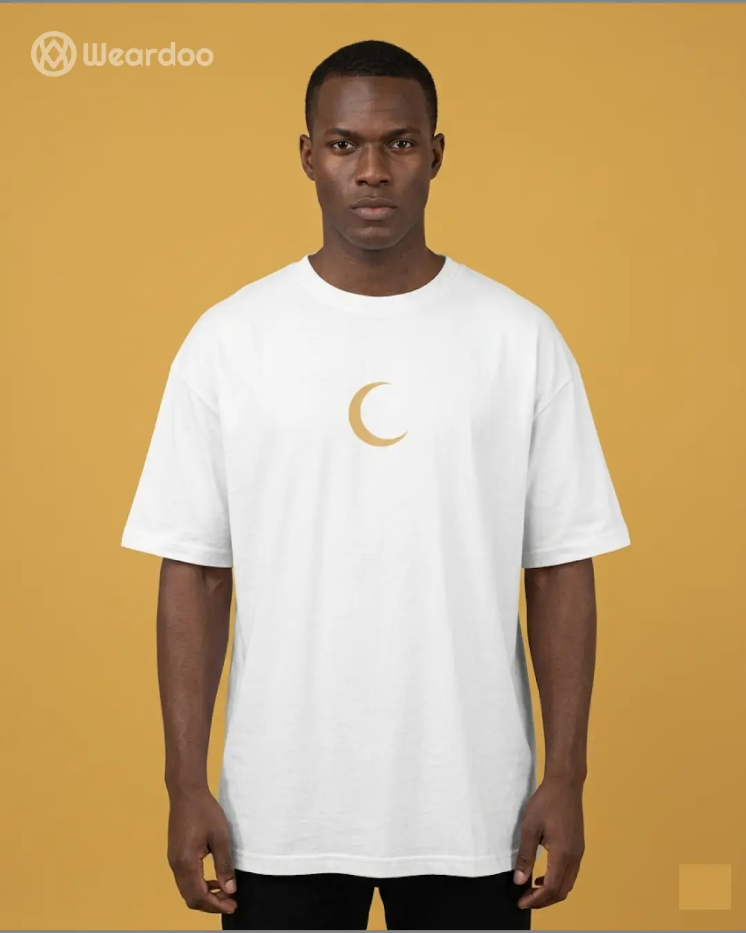 The Moon Knight - Image 3